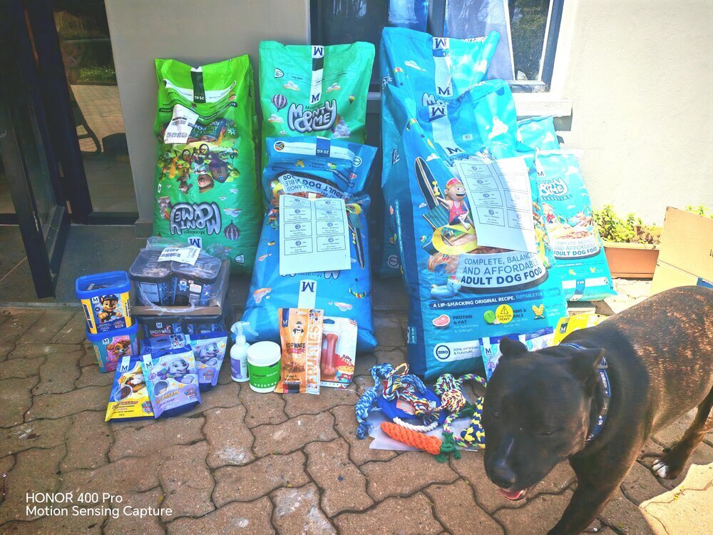 Paws a Plenty Rescue
